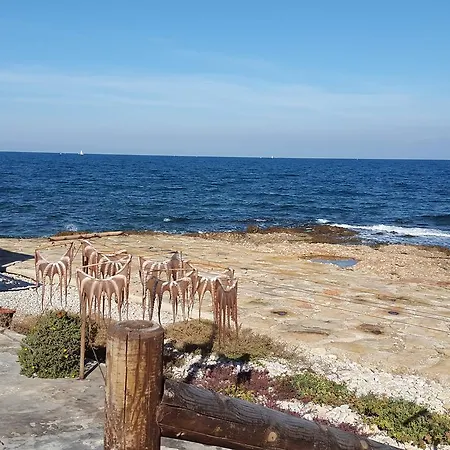 Jazmines 3 * Dénia